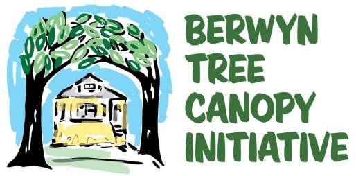 Berwyn Tree Canopy Initiative | Berwyn, Illinois