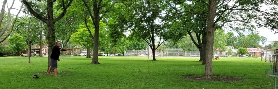 Photo of trees at Proksa Park, with disc golf player.