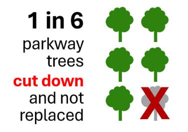 1 in 6 parkway trees cut down and not replaced